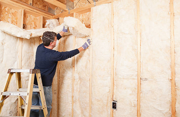 Best Eco-Friendly Insulation Solutions  in Lake Jackson, TX